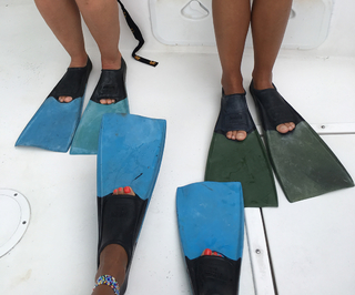 Nicole Beharie feet photo thumbnail