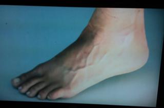 Nicole Curtis feet photo thumbnail