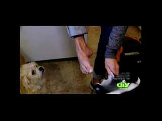 Nicole Curtis feet photo thumbnail