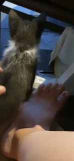 Nicole Franzel feet photo 1