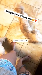 Nicole Franzel feet photo 1
