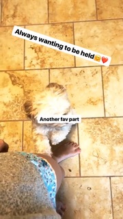 Nicole Franzel feet photo 20
