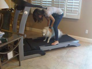 Nicole Gale Anderson feet photo 6