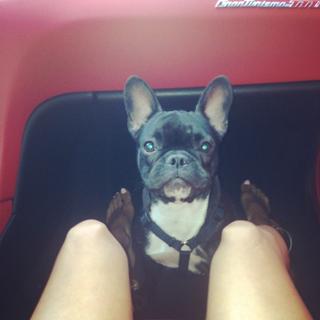 Nicole Lynn Williams feet photo 2