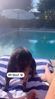 Nicole Lynn Williams feet photo 2