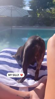 Nicole Lynn Williams feet photo 19