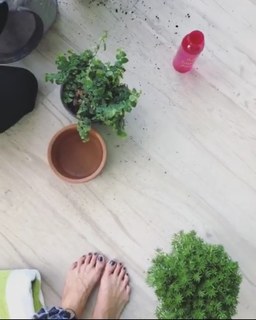 Nicole Mejia feet photo 10