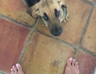 Nicole Minetti feet photo 11
