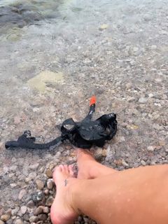 Nicole Neumann feet photo 10