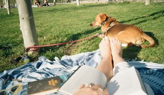 Nicole Wallace feet photo 1