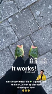 Nicolette van Dam feet photo 3