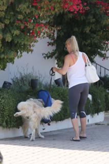 Nicollette Sheridan feet photo thumbnail