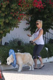 Nicollette Sheridan feet photo thumbnail