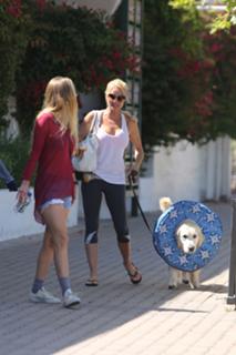 Nicollette Sheridan feet photo thumbnail