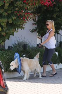Nicollette Sheridan feet photo thumbnail