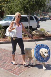 Nicollette Sheridan feet photo thumbnail