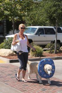 Nicollette Sheridan feet photo thumbnail