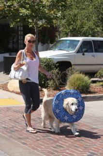 Nicollette Sheridan feet photo thumbnail