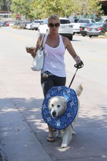 Nicollette Sheridan feet photo thumbnail