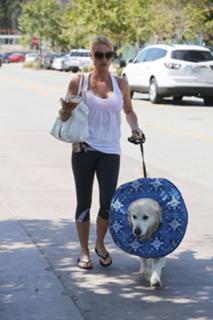 Nicollette Sheridan feet photo thumbnail