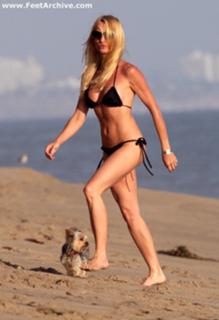 Nicollette Sheridan feet photo thumbnail