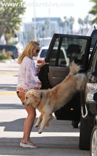 Nicollette Sheridan feet photo thumbnail