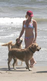 Nicollette Sheridan feet photo thumbnail