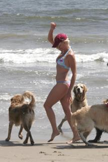 Nicollette Sheridan feet photo thumbnail