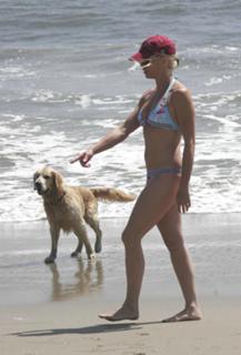 Nicollette Sheridan feet photo thumbnail