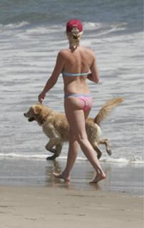 Nicollette Sheridan feet photo thumbnail
