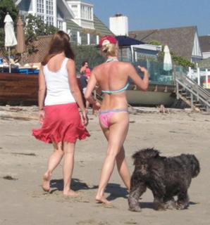 Nicollette Sheridan feet photo thumbnail