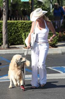 Nicollette Sheridan feet photo thumbnail