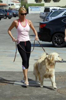 Nicollette Sheridan feet photo thumbnail