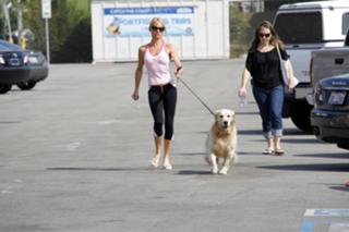 Nicollette Sheridan feet photo thumbnail