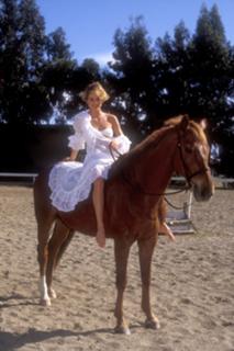 Nicollette Sheridan feet photo thumbnail