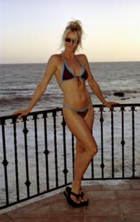 Nicollette Sheridan feet photo thumbnail