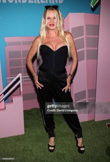 Nicollette Sheridan feet photo 1
