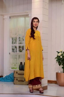 Nida Yasir feet photo 10