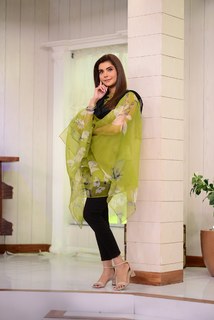 Nida Yasir feet photo 6