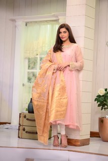 Nida Yasir feet photo 8