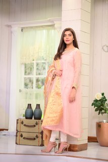 Nida Yasir feet photo 4