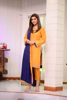 Nida Yasir feet photo 3