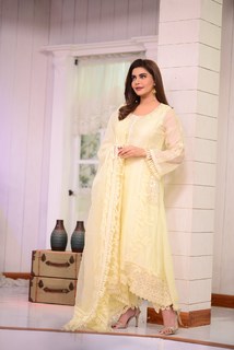 Nida Yasir feet photo 14