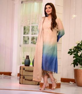 Nida Yasir feet photo 4