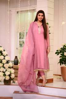 Nida Yasir feet photo 13