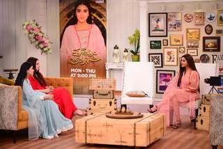 Nida Yasir feet photo 5