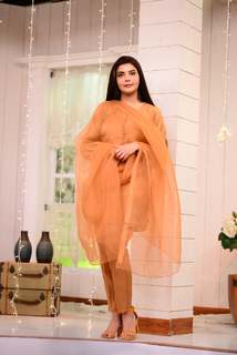 Nida Yasir feet photo 4
