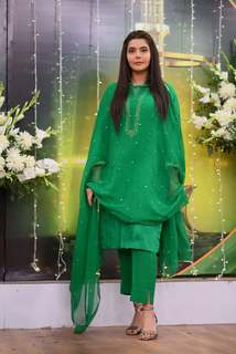 Nida Yasir feet photo 18