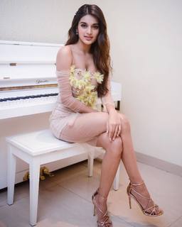 Nidhhi Agerwal feet photo 11