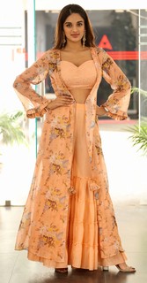 Nidhhi Agerwal feet photo 5